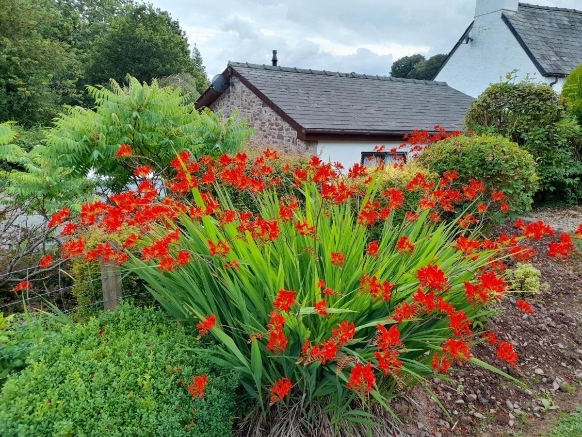 Villa Auld Ffynnon Brecon Exterior foto