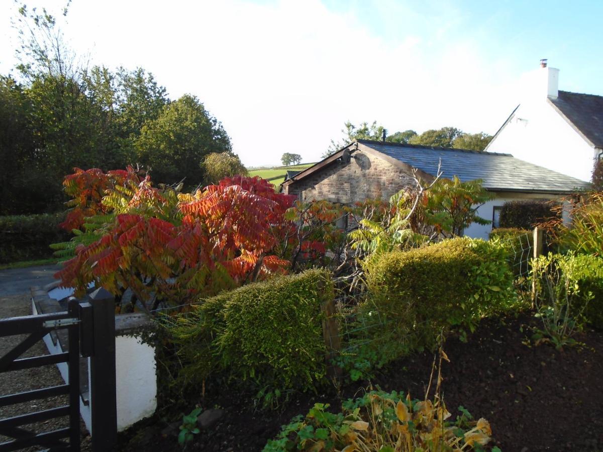Villa Auld Ffynnon Brecon Exterior foto